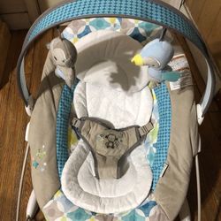 Baby Bouncer