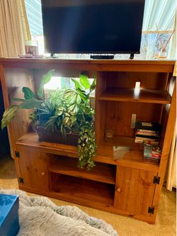 multipurpose  Cabinet for plants, fish tank or entertainment components.