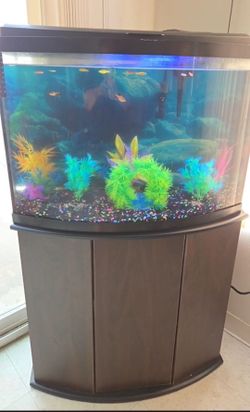 Fish tank by itself $175 with decorations $200