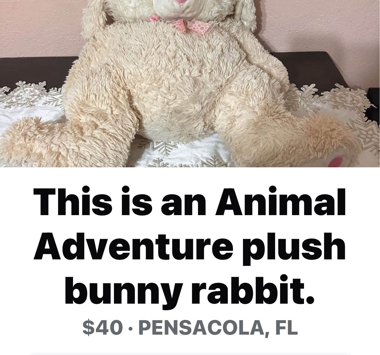Adventure Plus Rabbit