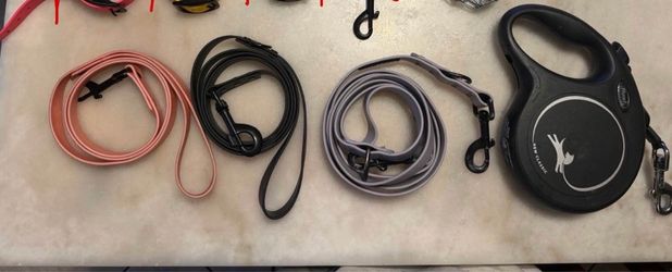 Dog Leashes