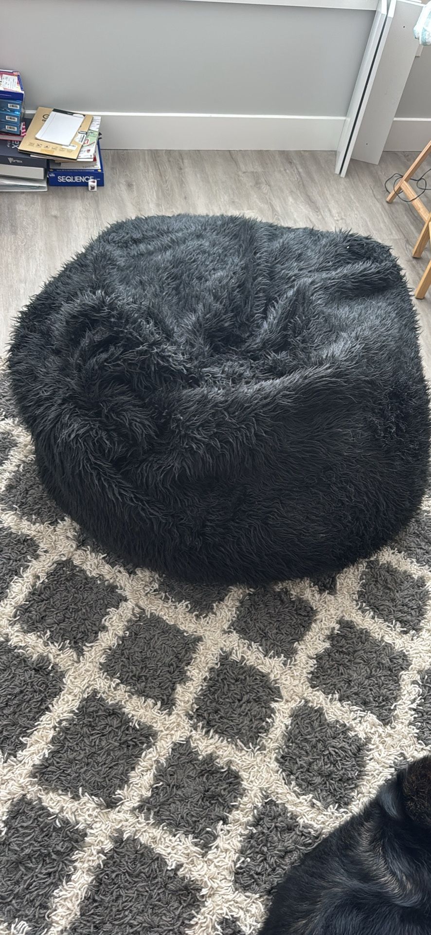 Cushy Bean bag