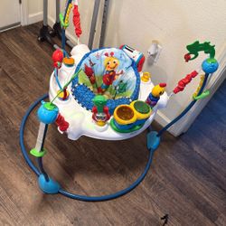 Baby Einstein Jumper