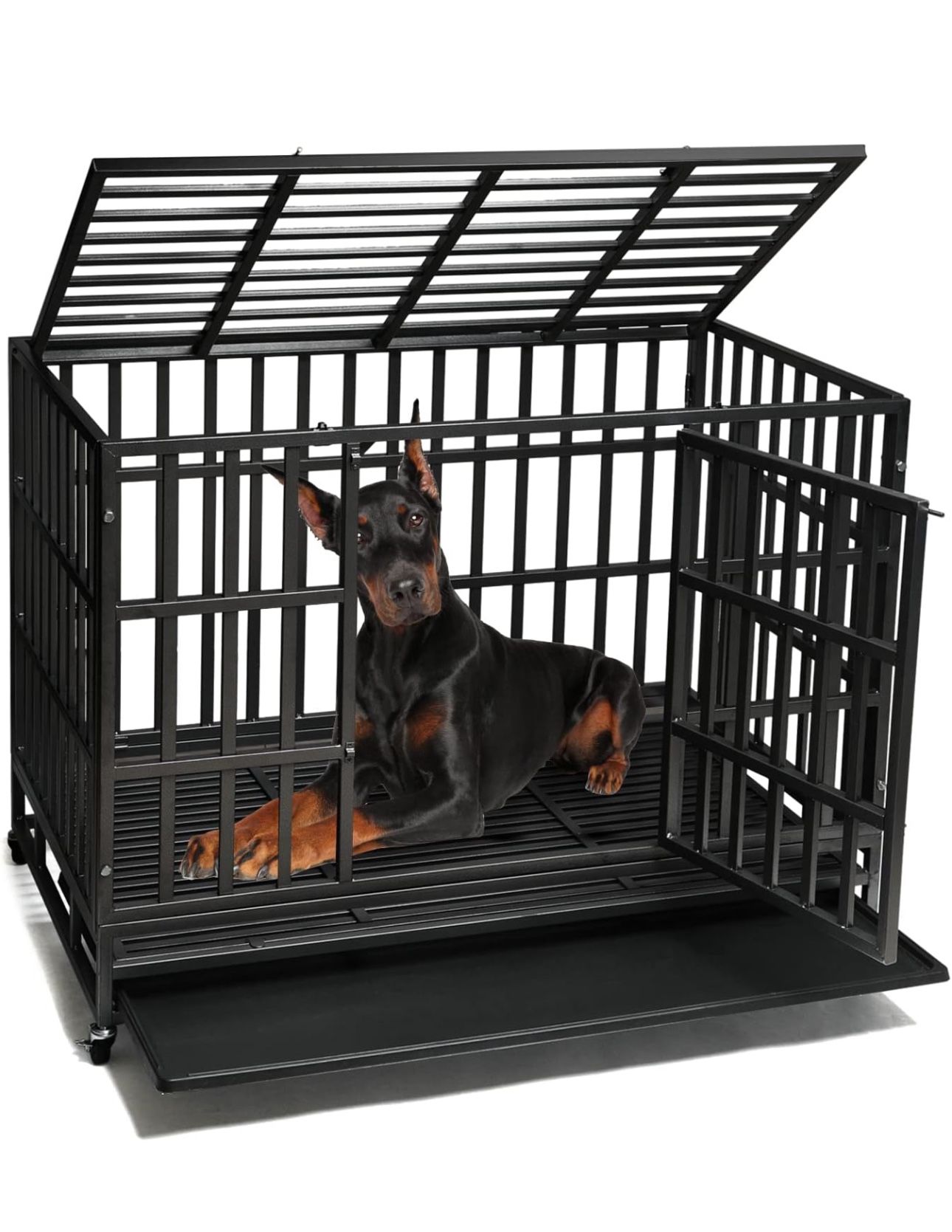 Dog Crate 