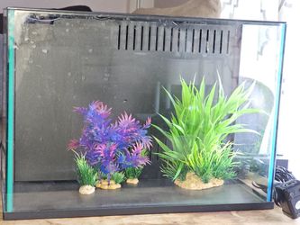 SELF CONTAINED FISH TANK 🐟