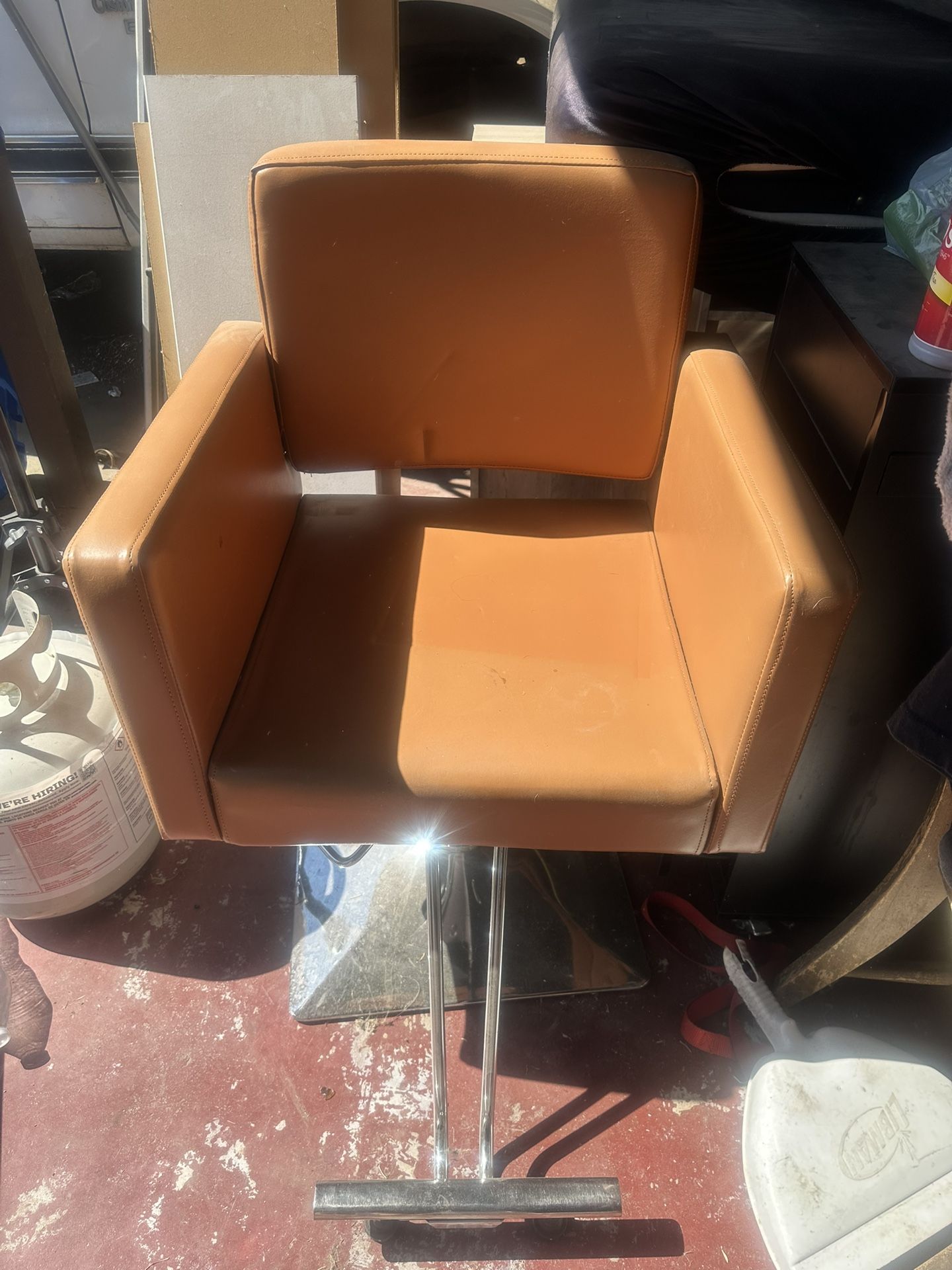 Salon Chair