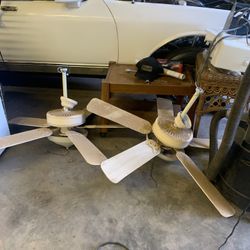 Outdoor Ceiling Fans 