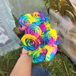 Rainbow flowers
