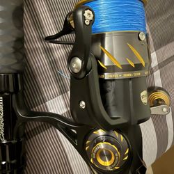 Penn Authority 6500 Reel And Carnage III Rod Combo