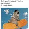 Jobs Academik