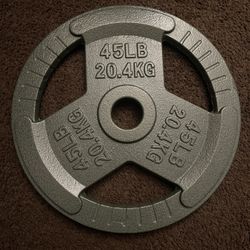 45lbs Olympic Barbell Plate Set