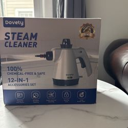 Steam Cleaner