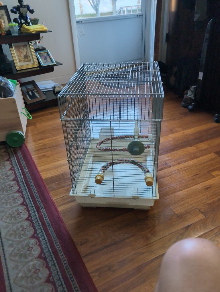 Bird Cage
