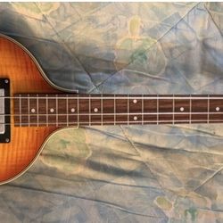 Rogue VB 100 Violin Style Hollow Body Electric Bass Guitar $150