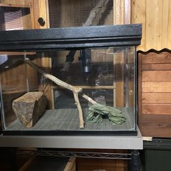20 Gallon Reptile Tank With Lid
