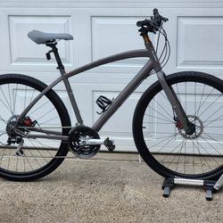29er Specialized Globe Bike Large 