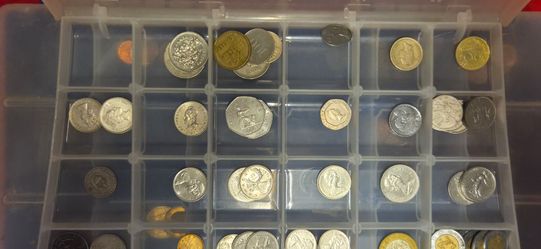 Mixed World Coin Collection in Storage Case