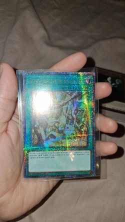 Yu-gi-oh cards