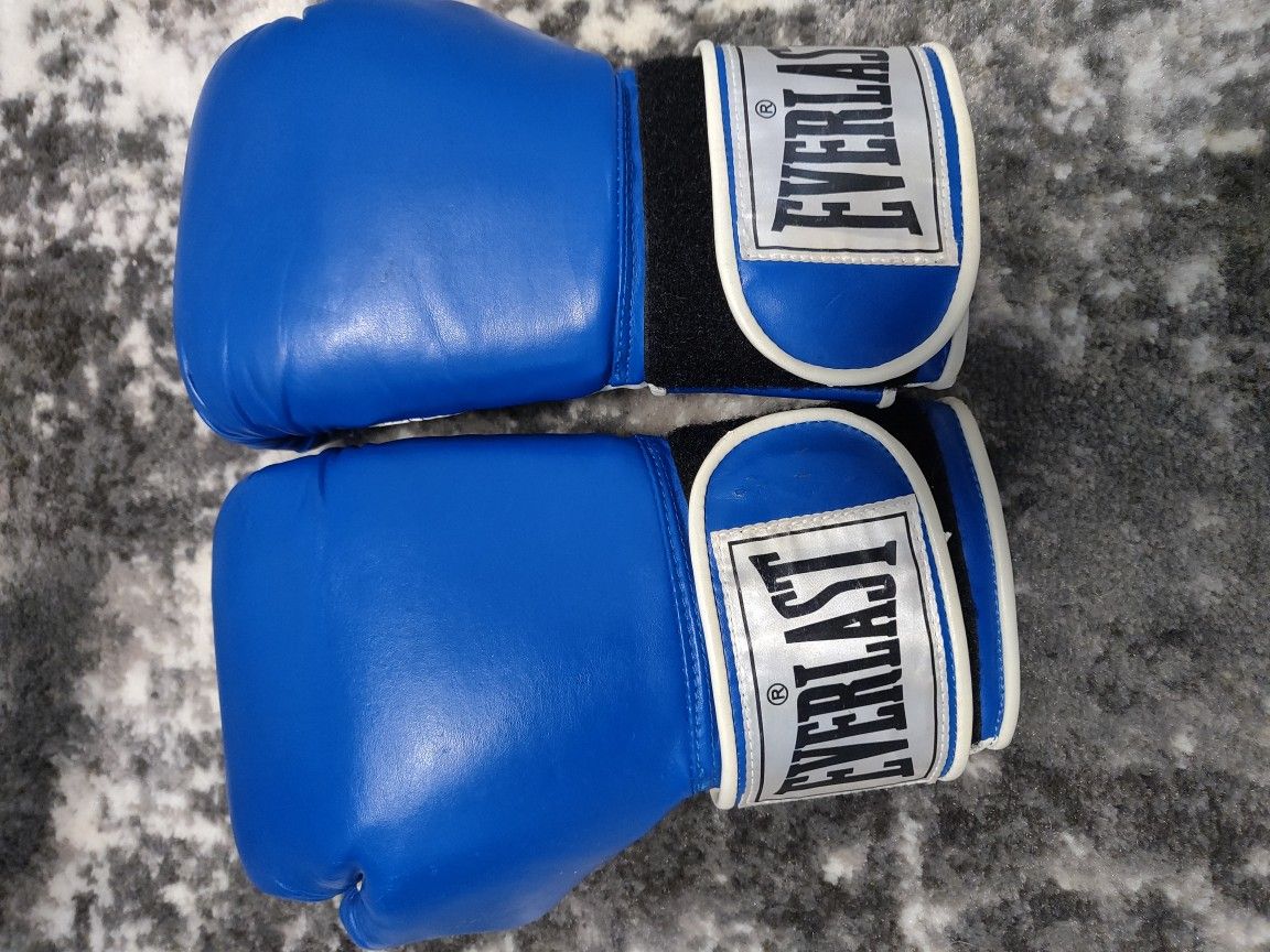 Everlast boxing gloves