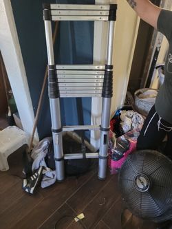 Telescoping Ladder