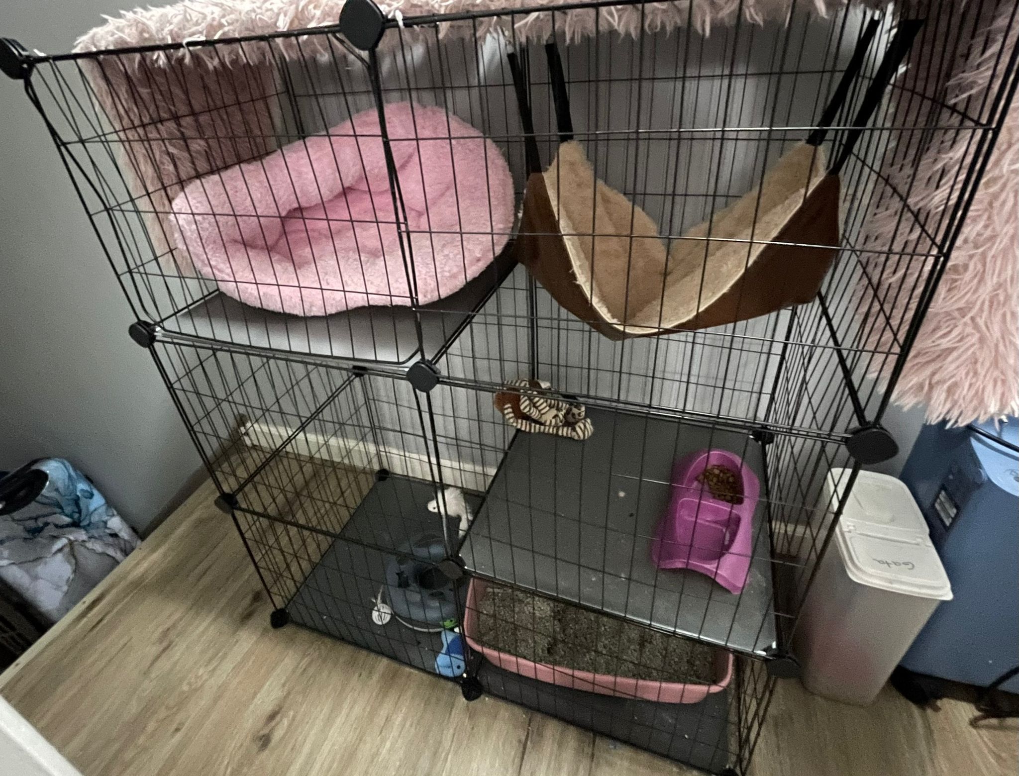 Cat Cage