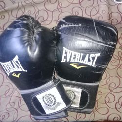 Everlast Boxing gloves