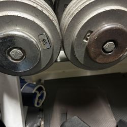 95 Lbs Dumbbells (pair)
