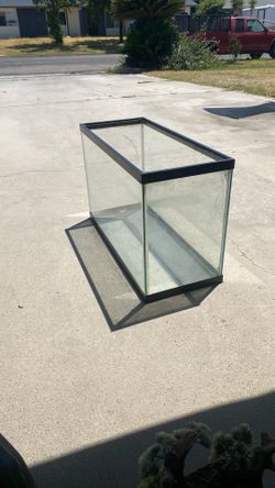 Aquarium in lizard supplies with light