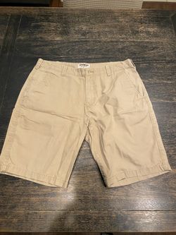 EXPRESS Shorts (31)