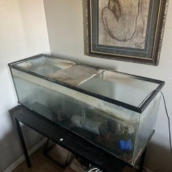 Aquarium Fish Tank 60 Gal