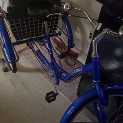 Adult Tricycle 
