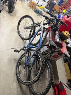 Mountain bikes