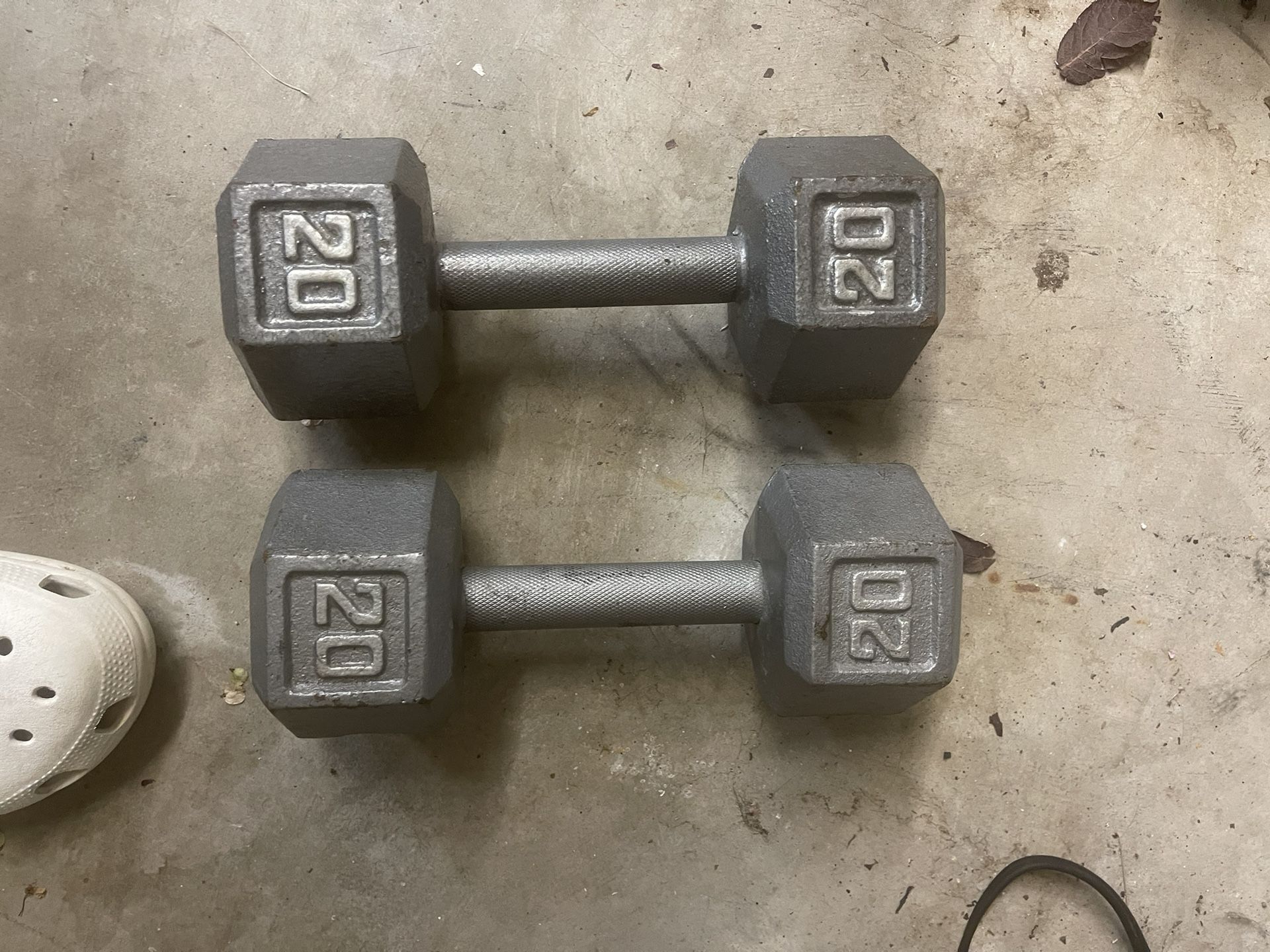 20 Lb Dumbbells