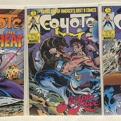 Todd McFarlane (Spawn) Coyote First Pro Work 