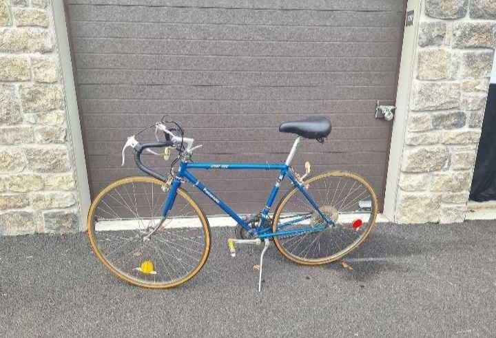 Panasonic Sport 1000 Men's Bicycle Blue