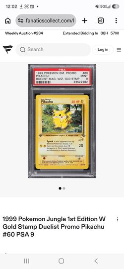 Picachu jungle