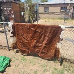 Cow Hide