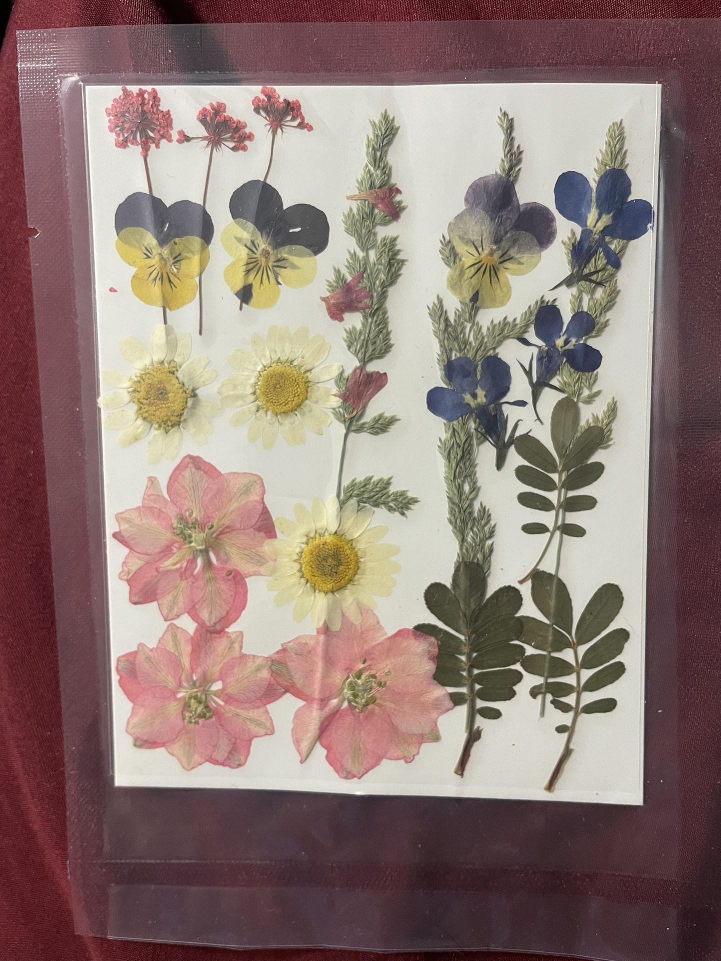 Dried Flowers
