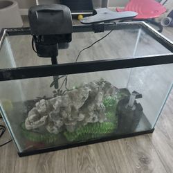 Fish Tank With Light And Filter & Extras 