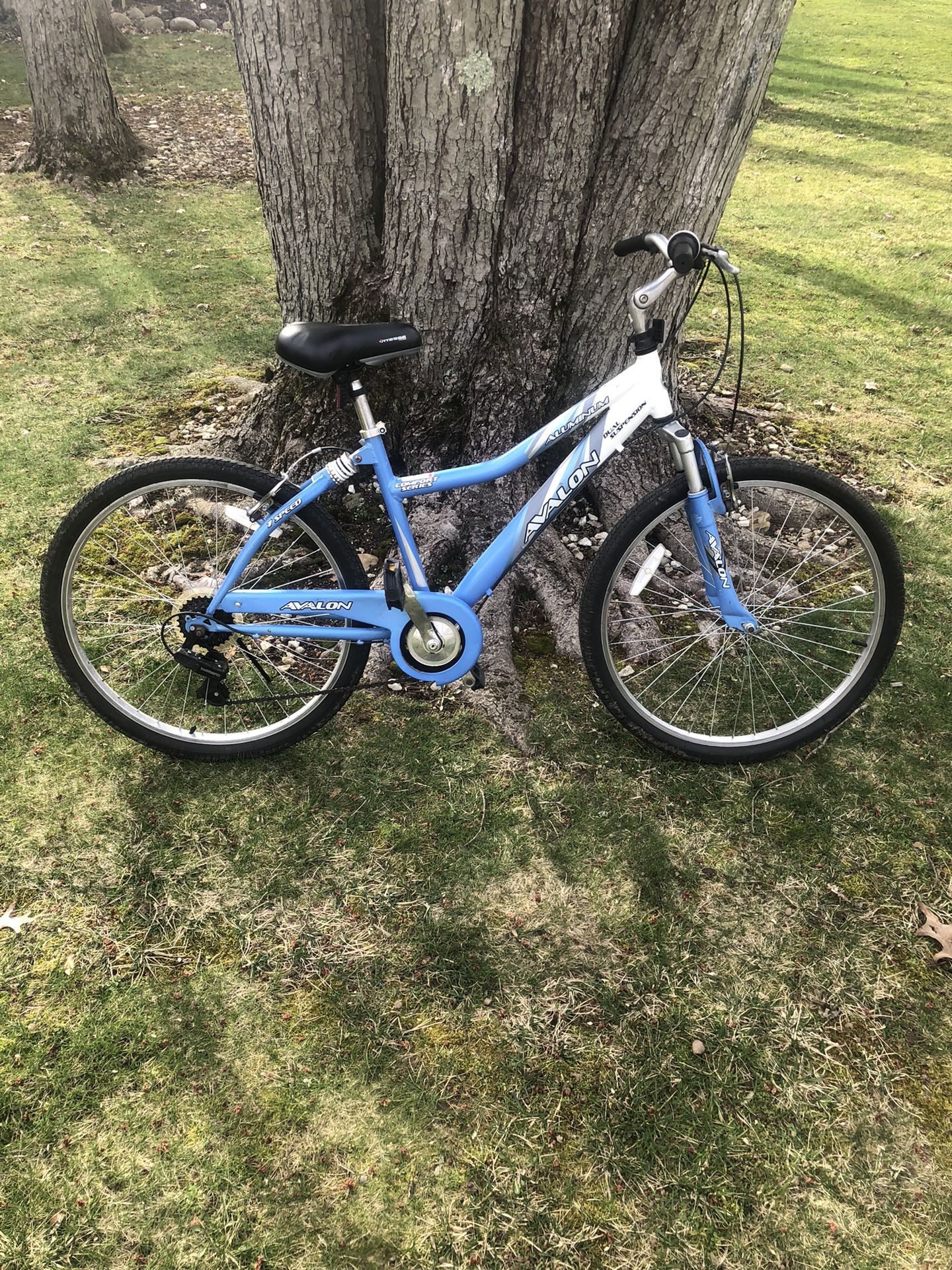 26” Mountain Bike