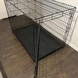 Dog Crete
