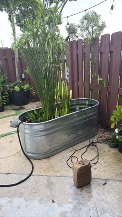 Outdoor pond