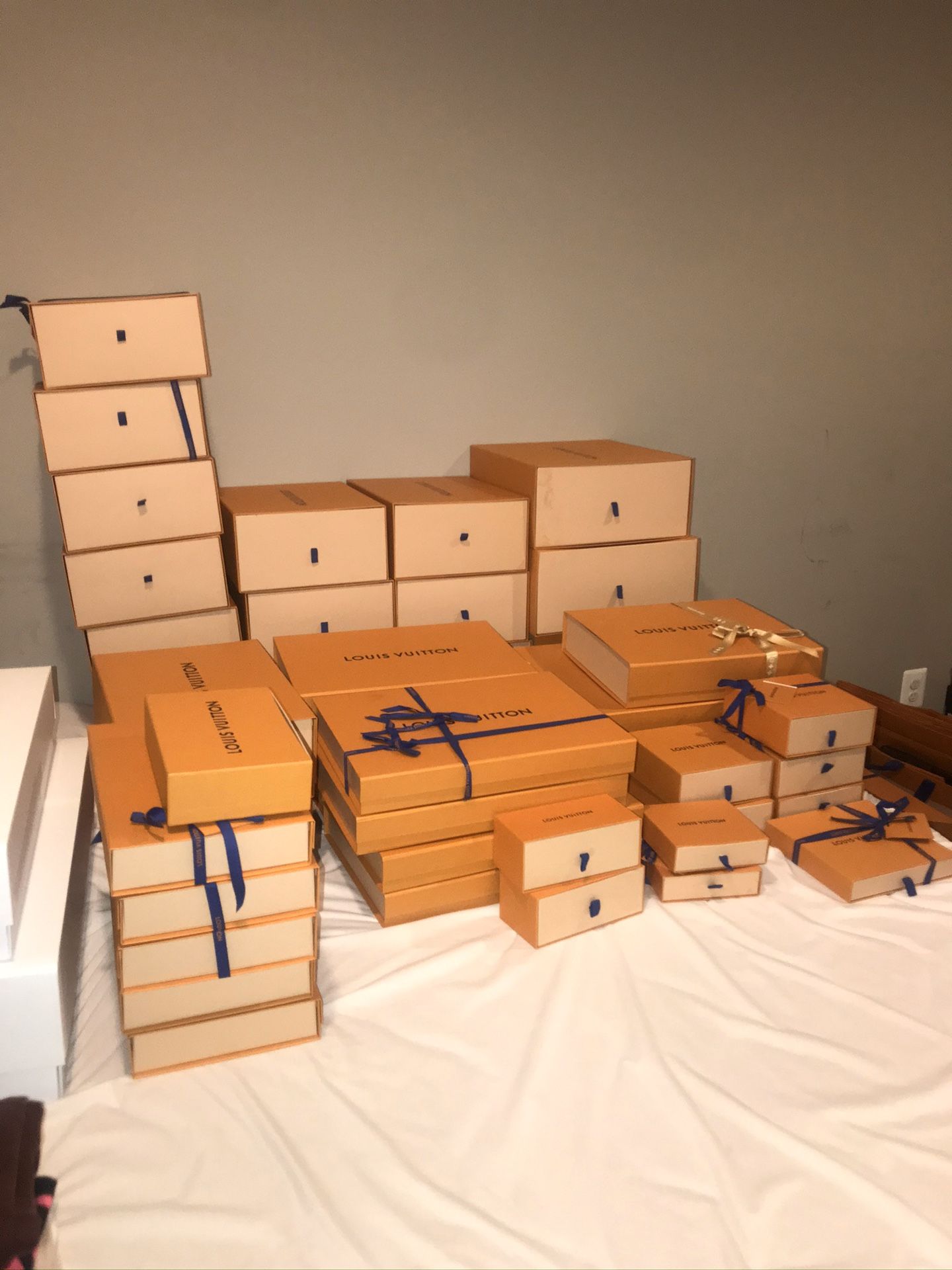 Louis Vuitton Boxes, Bags, Dust Bags, Garment Bags, Ribbons