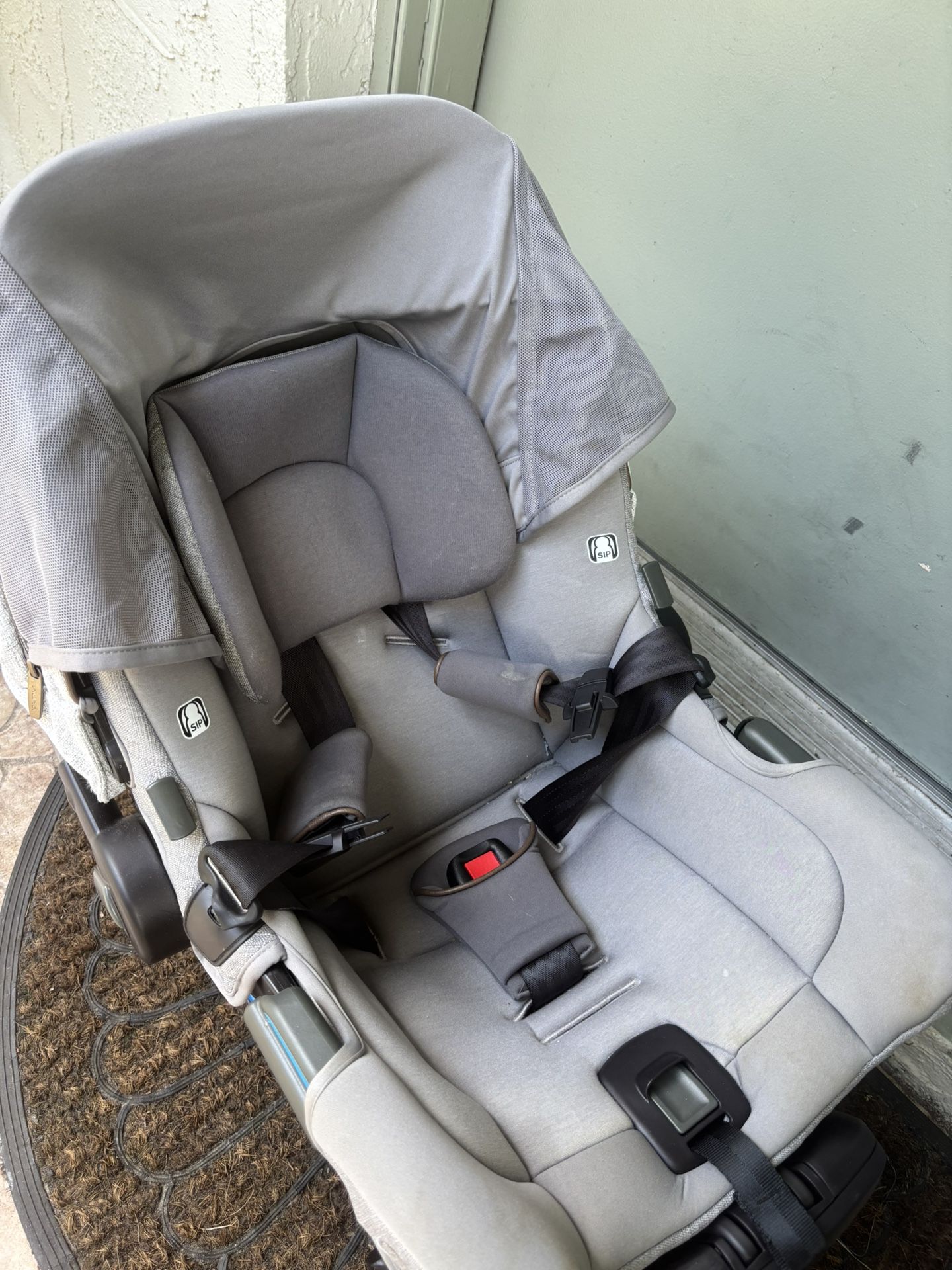 Infant Carseat & Base (Nuna)