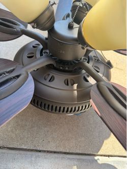 Ceiling fan