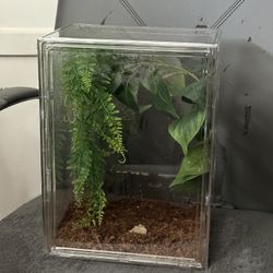 Habitat For Reptiles 