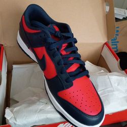 Nike DUNKS NEW SZ11 RED/BLUE