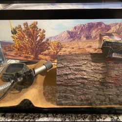 Turtle Case Or Snake