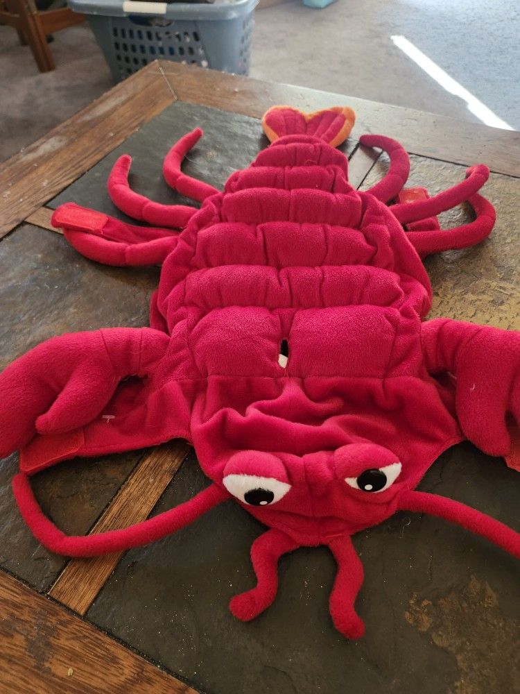 Dog Lobster Costume
