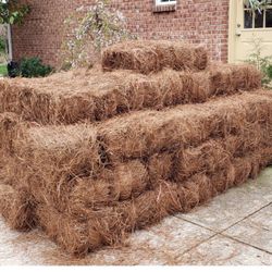 Pine straw 